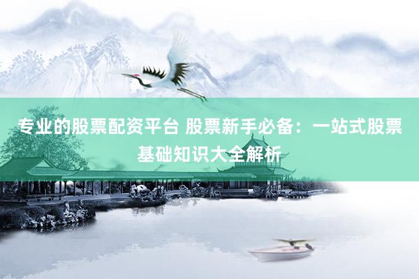 专业的股票配资平台 股票新手必备：一站式股票基础知识大全解析