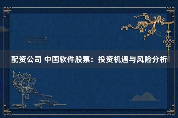配资公司 中国软件股票：投资机遇与风险分析
