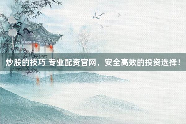 炒股的技巧 专业配资官网，安全高效的投资选择！