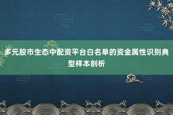 多元股市生态中配资平台白名单的资金属性识别典型样本剖析