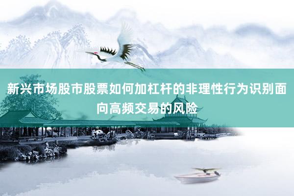 新兴市场股市股票如何加杠杆的非理性行为识别面向高频交易的风险