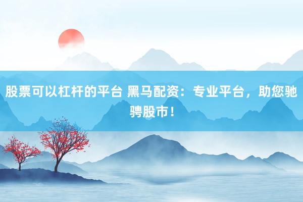 股票可以杠杆的平台 黑马配资：专业平台，助您驰骋股市！