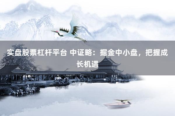 实盘股票杠杆平台 中证略：掘金中小盘，把握成长机遇