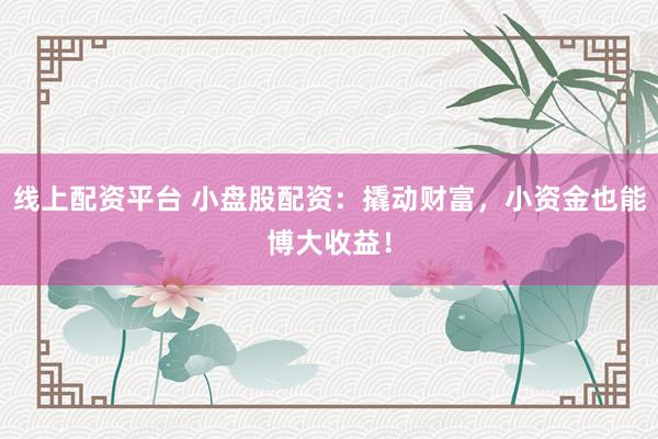 线上配资平台 小盘股配资:撬动财富,小资金也能博大收益!